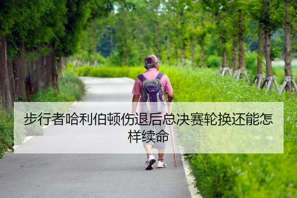 bu-xing-zhe-ha-li-bo-dun-shang-tui-hou-zong-jue-sai-lun-huan-hai-neng-zen-yang-xu-ming-2-603.jpg